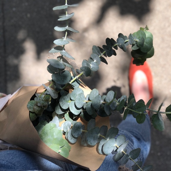 Meet your Posher, Ri - Picture 7 of 8